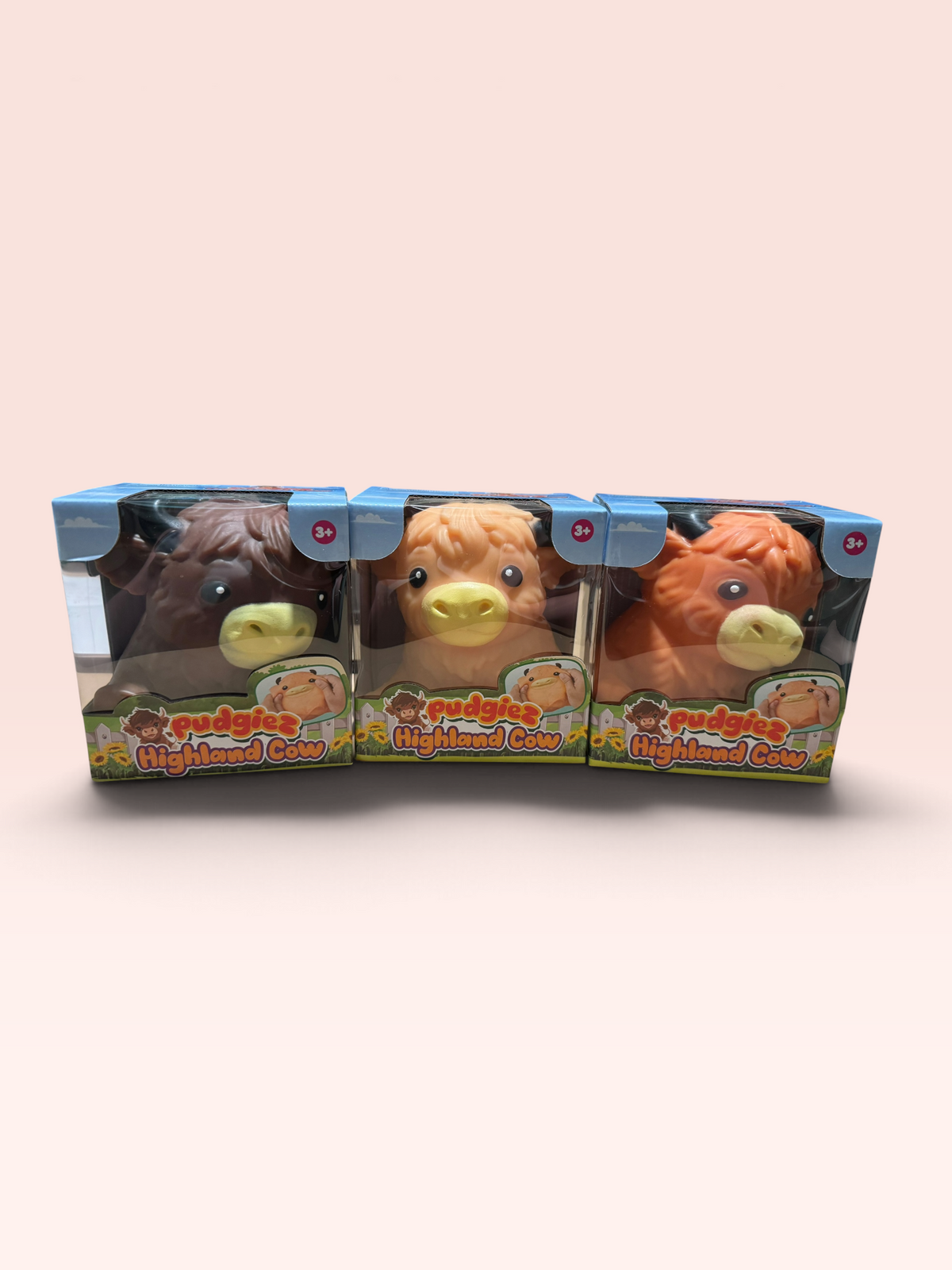 Pudgiez Highland Cow