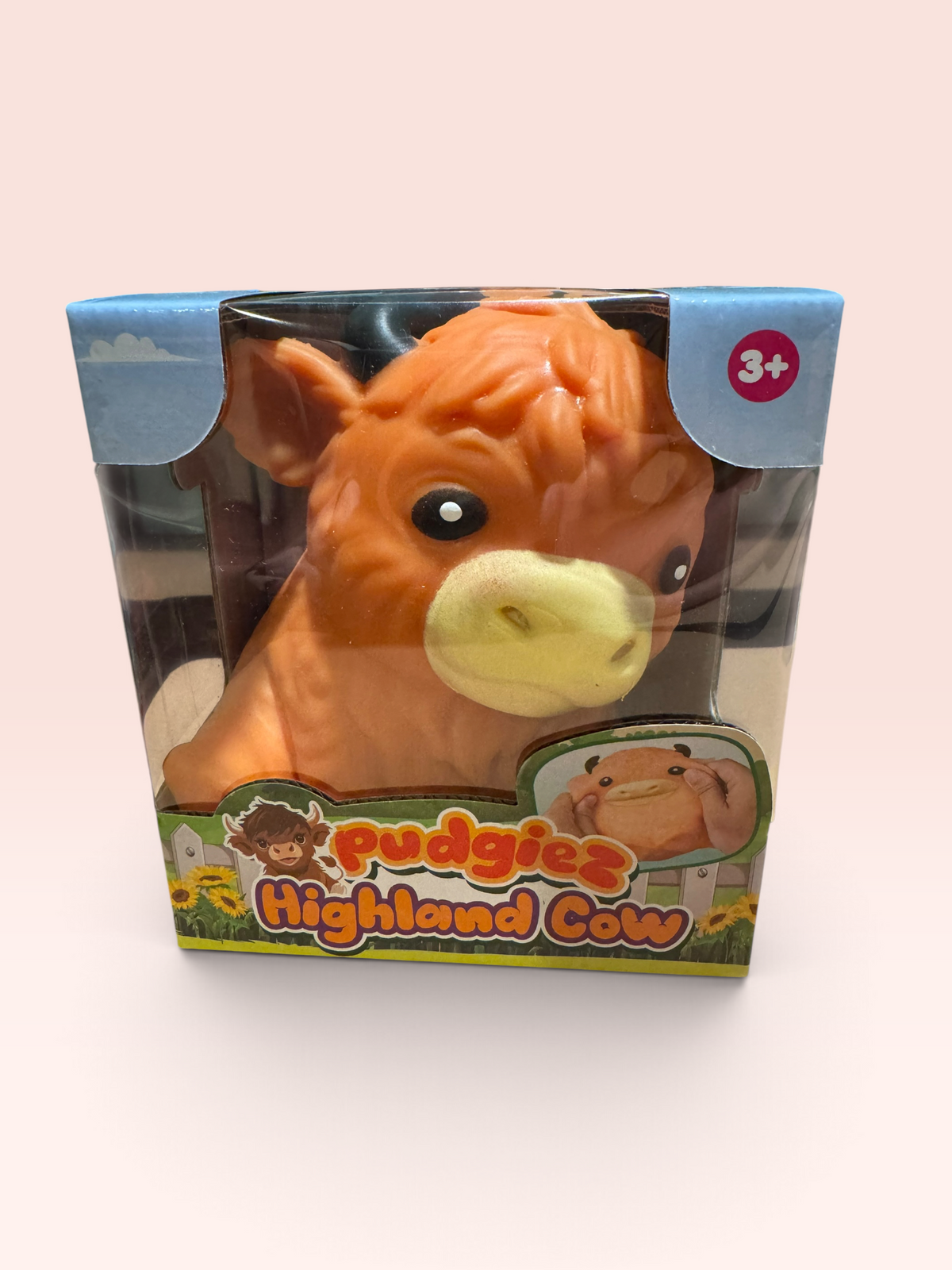 Pudgiez Highland Cow