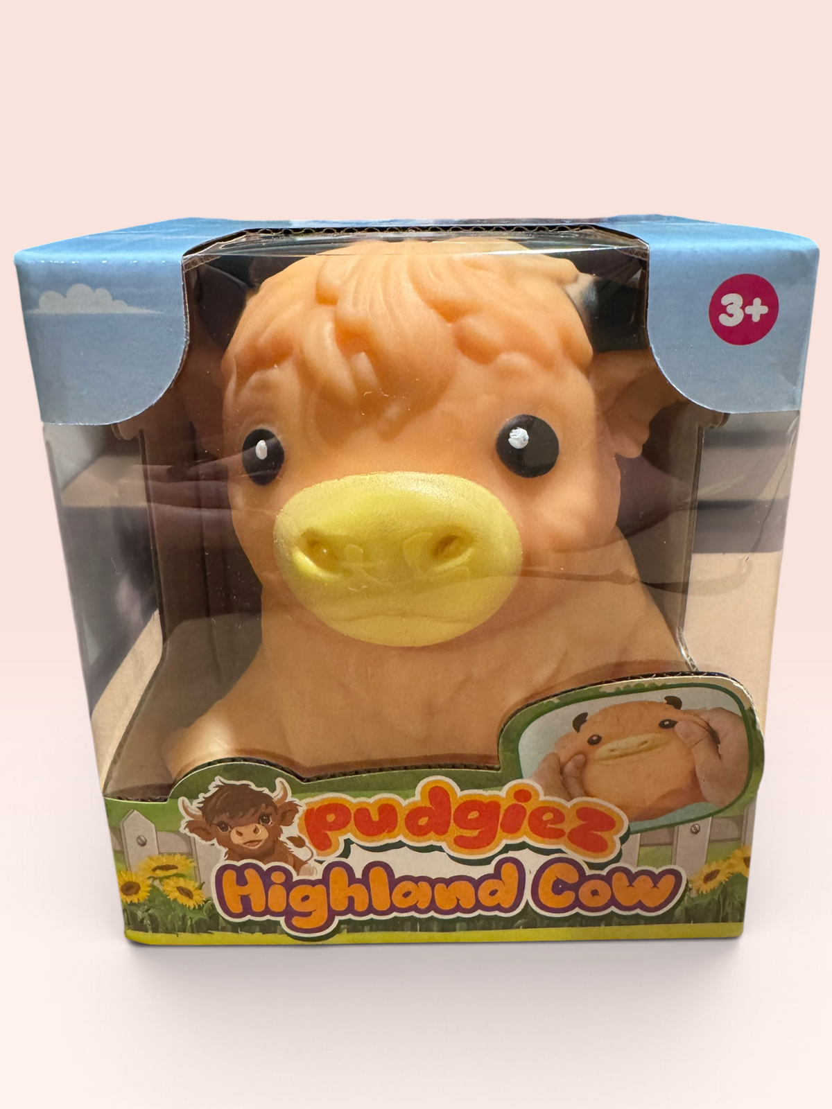 Pudgiez Highland Cow