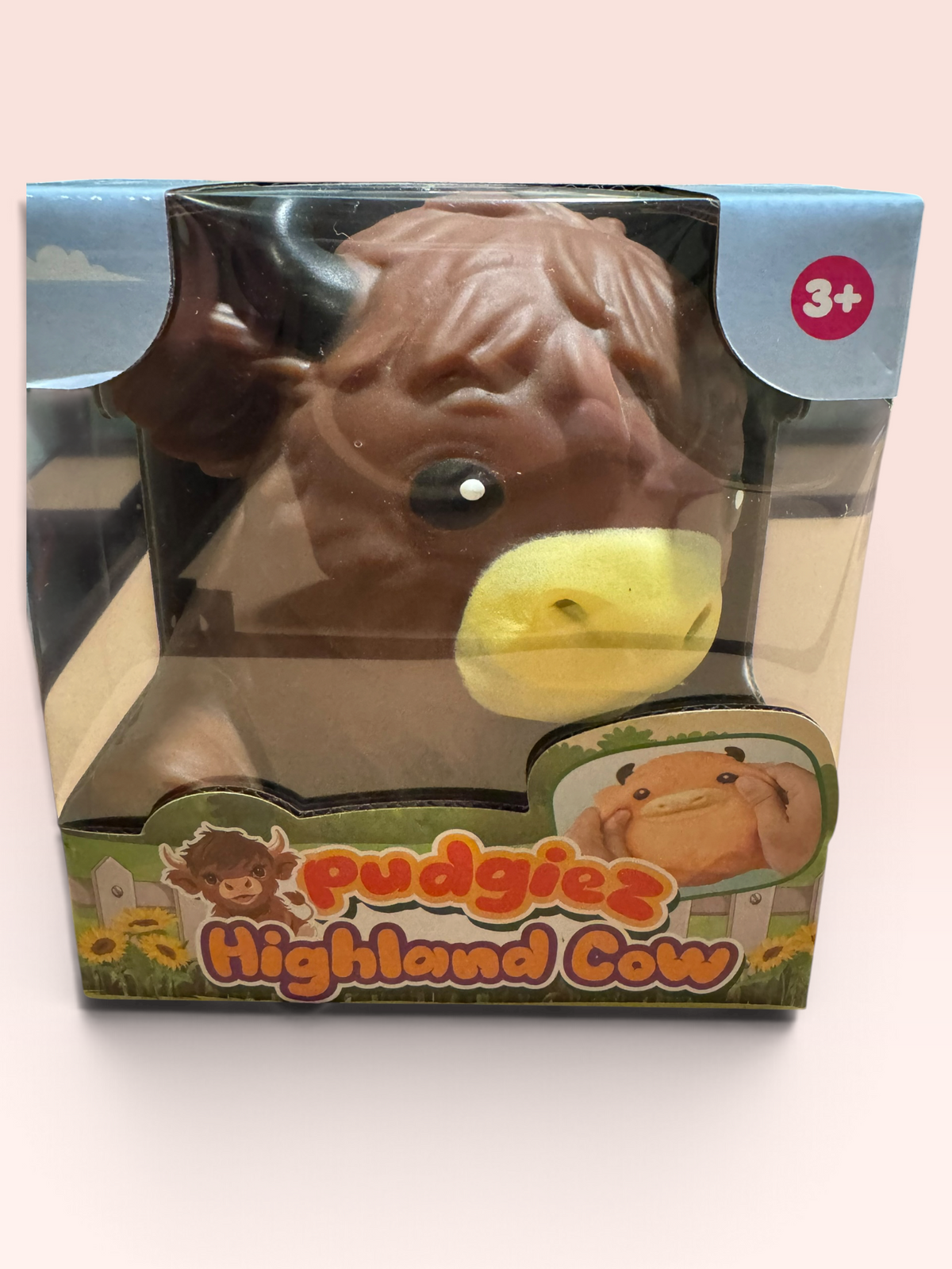 Pudgiez Highland Cow